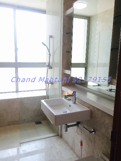 One Jervois (D10), Condominium #53376782
